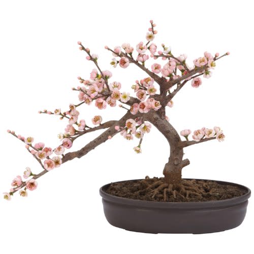 2) Cherry Blossom Bonsai Artificial Tree