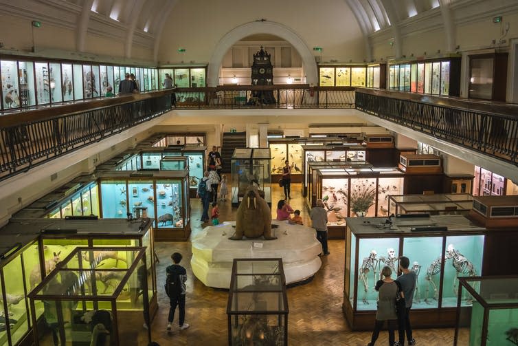 <span class="caption">The traditional way of engaging with cultural heritage: through glass.</span> <span class="attribution"><a class="link " href="https://www.shutterstock.com/image-photo/london-england-october-2018-interior-hall-1313219309" rel="nofollow noopener" target="_blank" data-ylk="slk:aaabbbccc/Shutterstock.com;elm:context_link;itc:0;sec:content-canvas">aaabbbccc/Shutterstock.com</a></span>