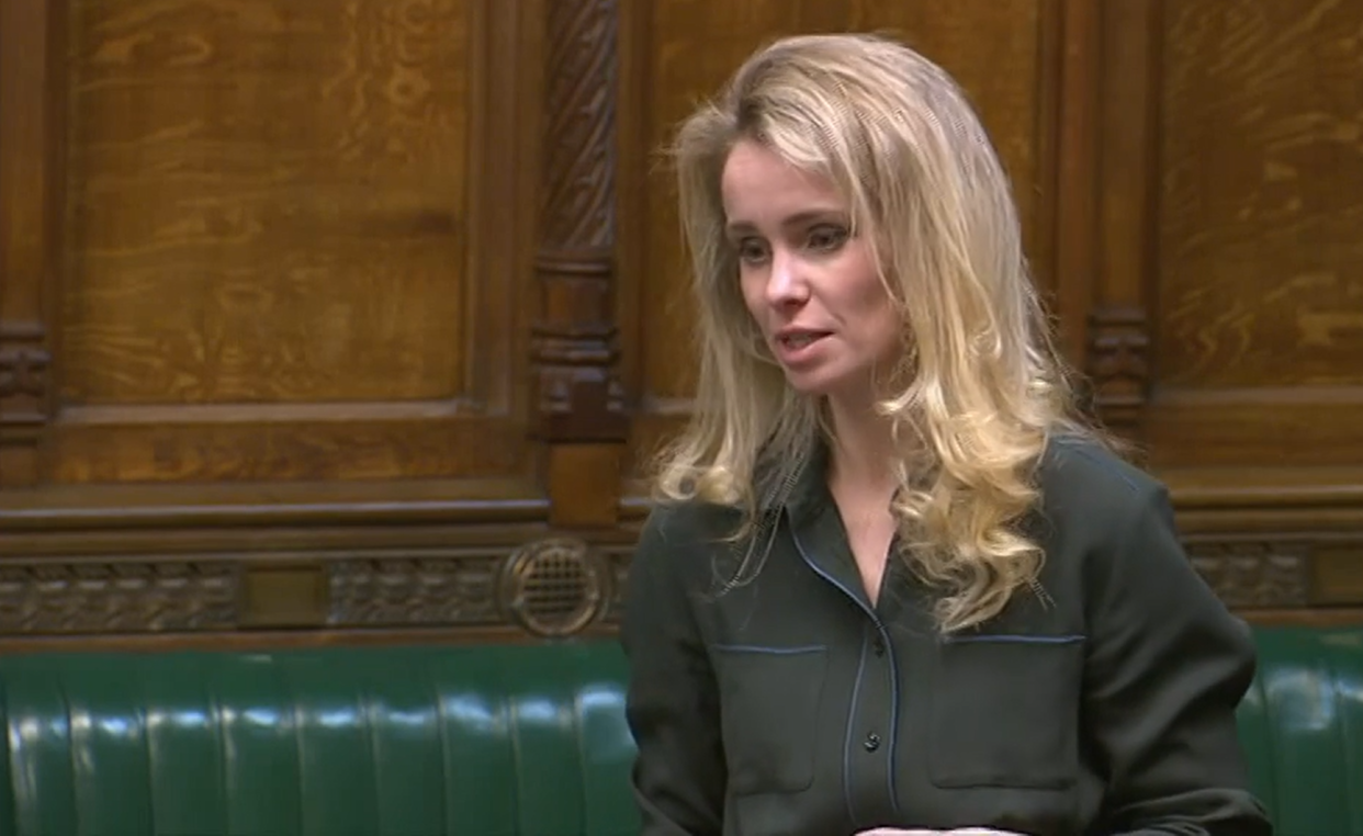 Conservative MP Siobhan Baillie addresses the House of Commons (PA)