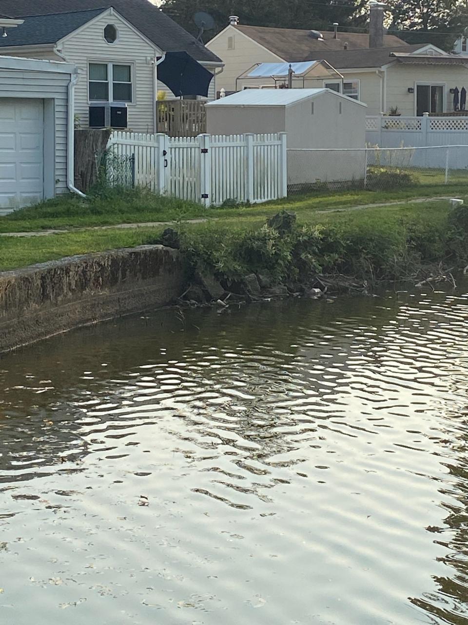 The Murphys' white fence sits feet from a crumbling wall on Lake Alberta in Neptune.