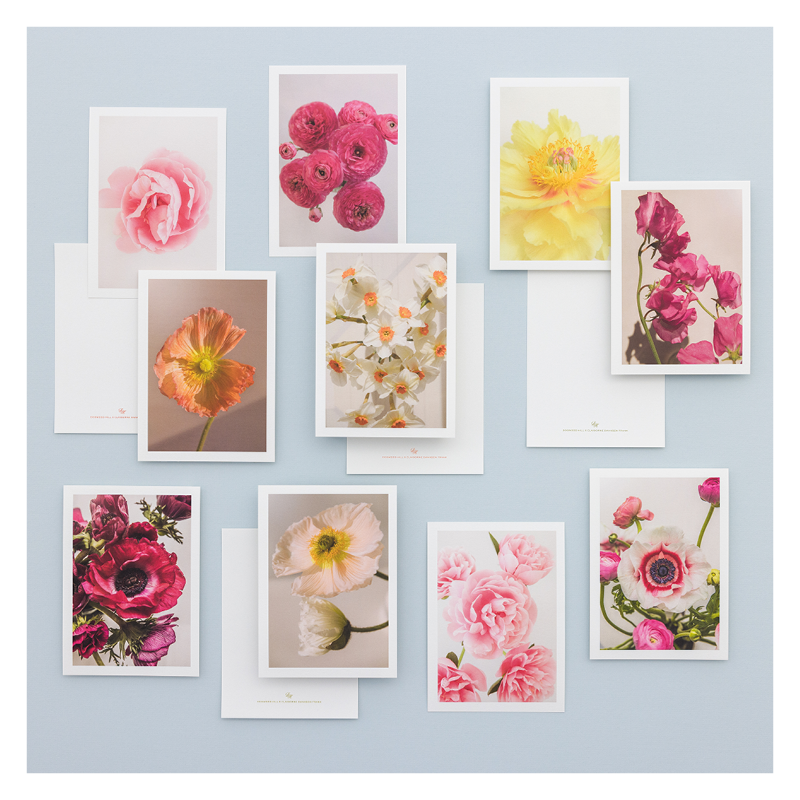 <p><a href="https://www.dogwood-hill.com/products/claibornes-flowers-notecard-multiset" rel="nofollow noopener" target="_blank" data-ylk="slk:Shop Now;elm:context_link;itc:0;sec:content-canvas" class="link rapid-noclick-resp">Shop Now</a></p><p>Claiborne's Flowers Notecard Multiset</p><p>dogwood-hill.com</p><p>$72.80</p>