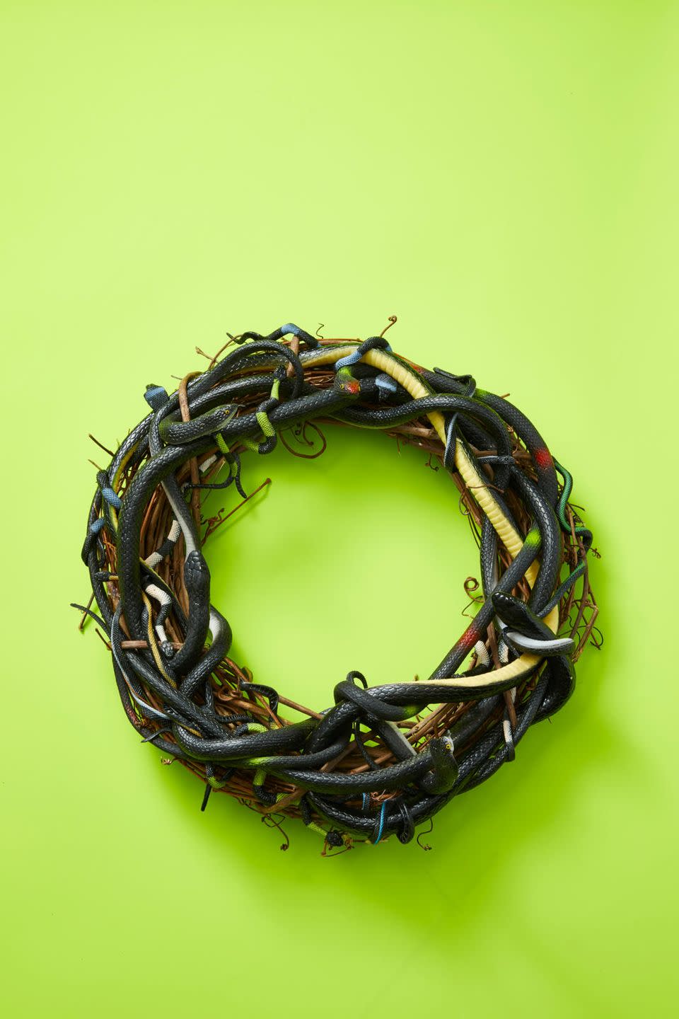 <p>Spook the neighbors with this creepy, snake-laden wreath. To make it, gather an assortment of plastic snakes and a wreath form. Start with the largest snakes you have and weave them in between the twigs, repeating until you use all your rubber snakes. Use hot glue as needed to hold them to the wreath.</p><p><strong><a class="link " href="https://www.amazon.com/Richland-72593611800_01-Grapevine-Wreath-18/dp/B075X3HC5J/?tag=syn-yahoo-20&ascsubtag=%5Bartid%7C10055.g.4602%5Bsrc%7Cyahoo-us" rel="nofollow noopener" target="_blank" data-ylk="slk:SHOP GRAPEVINE WREATHS;elm:context_link;itc:0;sec:content-canvas">SHOP GRAPEVINE WREATHS </a></strong><br></p>