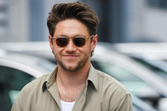 Just 3 members of One Direction are rumoured to have 'reunited' for a new  album as Niall Horan announces a world tour - MyLondon