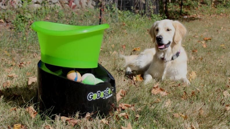 Endless games of fetch are now simple.