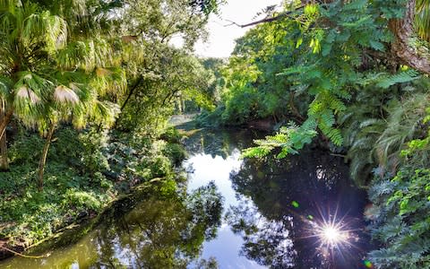 Everglades National Park, Miami, United States - Credit: © 2017 Pablo Pola Damonte/Pola Damonte via Getty Images