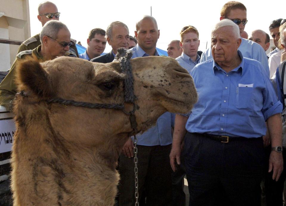 Photobomb! Dieses Kamel hat den Kniff raus und stiehlt dem damaligen Israelischen Präsidenten Ariel Sharon (rechts) fast die Show. (Bild: Avi Ohayon/GPO via Getty Images)