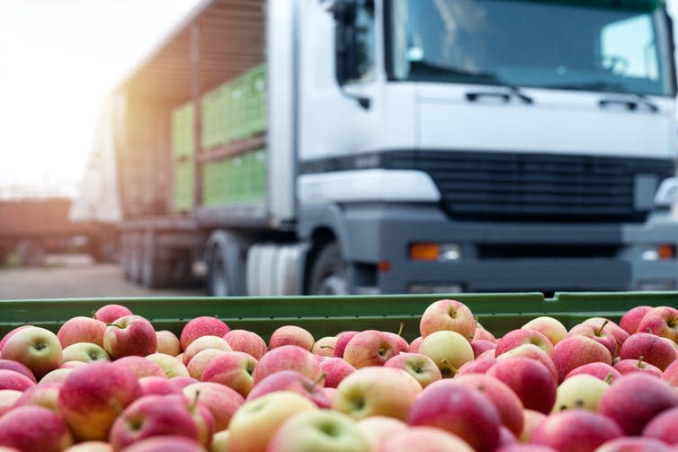 <span class="caption">Transport can add to the carbon footprint of food.</span> <span class="attribution"><span class="source">Aleksandar Malivuk / shutterstock</span></span>