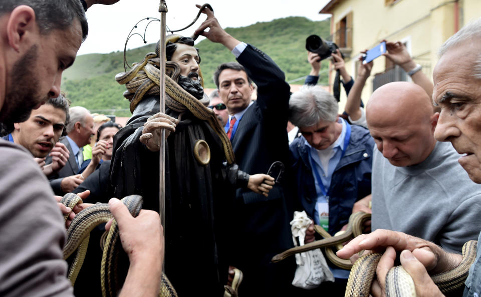 <p>Einmal im Jahr findet im italienischen Bergdorf Cocullo ein ungewöhnliches Ritual statt. Zum Fest von Dominikus von Sora tragen Männer eine Statue des Heiligen, die mit lebenden Schlangen behängt ist, durch das Dorf. (Bild: Getty Images/AFP/Tiziana Fabi) </p>