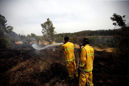 Firefighters put out a fire near Kibbutz Harel, which was damaged by wildfires during a record heatwave, in Israel May 24, 2019. REUTERS/Ronen Zvulun