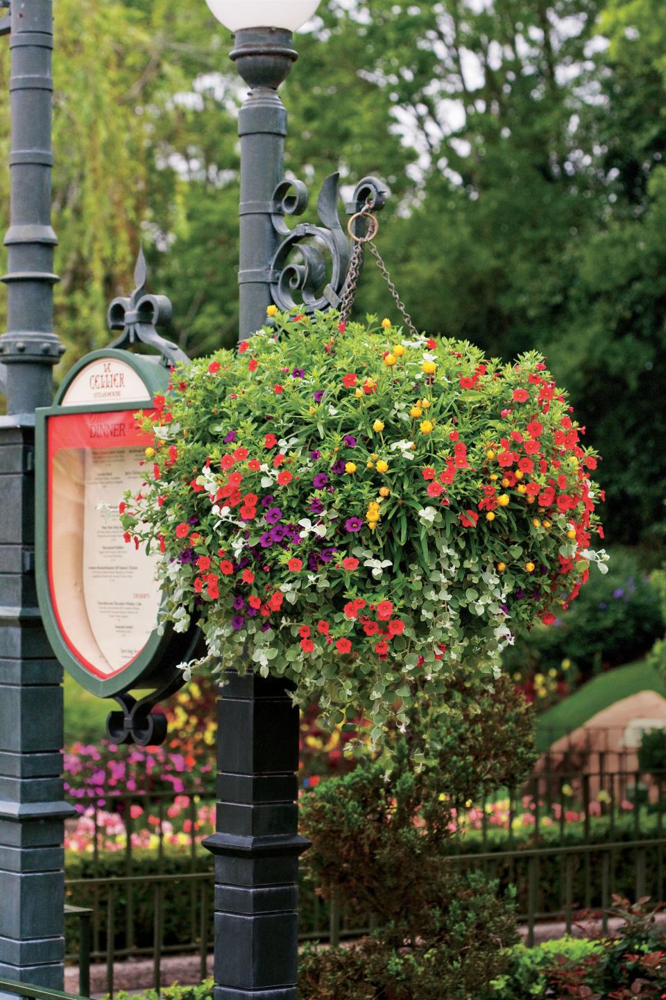 Beautiful Baskets