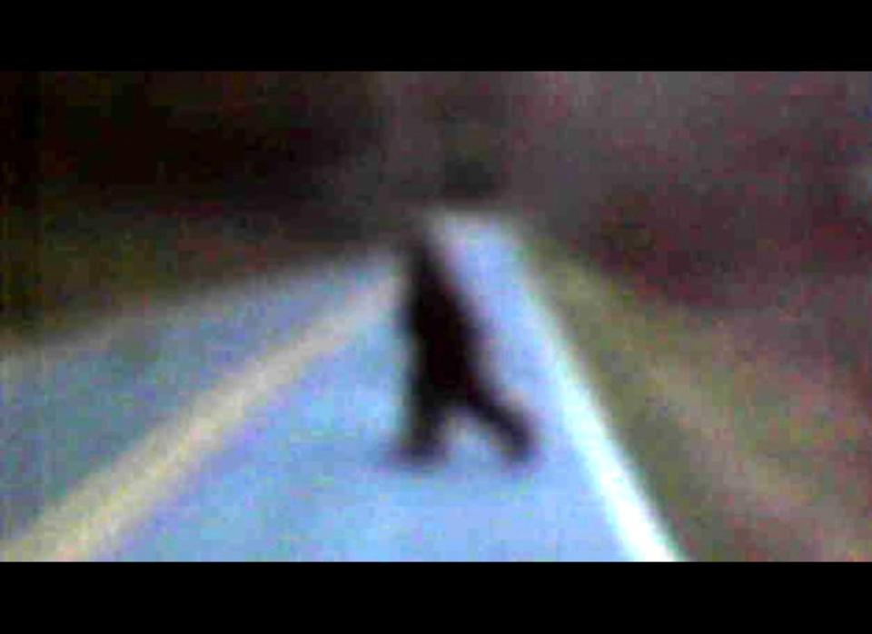 Thomas Byers snapped this photo of "Bigfoot" along Golden Valley Church Road on March 22, 2011.