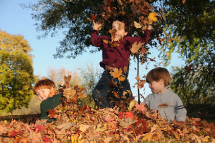 Jump in a pile of fall leaves