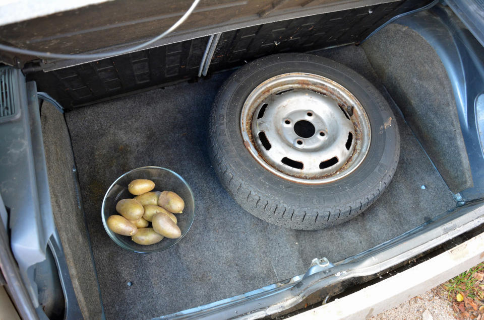 <p>The Marketing Act of Potatoes passed in Australia in <strong>1946</strong> bans motorists who aren’t part of the Potato Marketing Corporation or one of its agents from carrying <strong>over 110lb</strong> of potatoes. Law enforcement agents don’t need to carry a scale; they’re allowed to estimate the weight by glancing at the pile. Those who broke this law in the 1940s risked high fines but there’s no evidence it’s still enforced in 2019.</p>