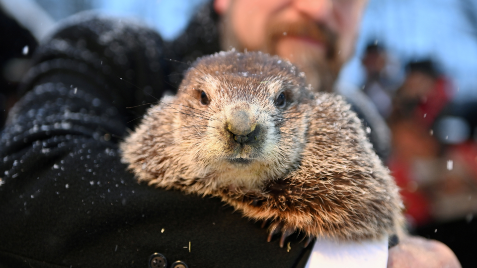 Alan Freed/Reuters