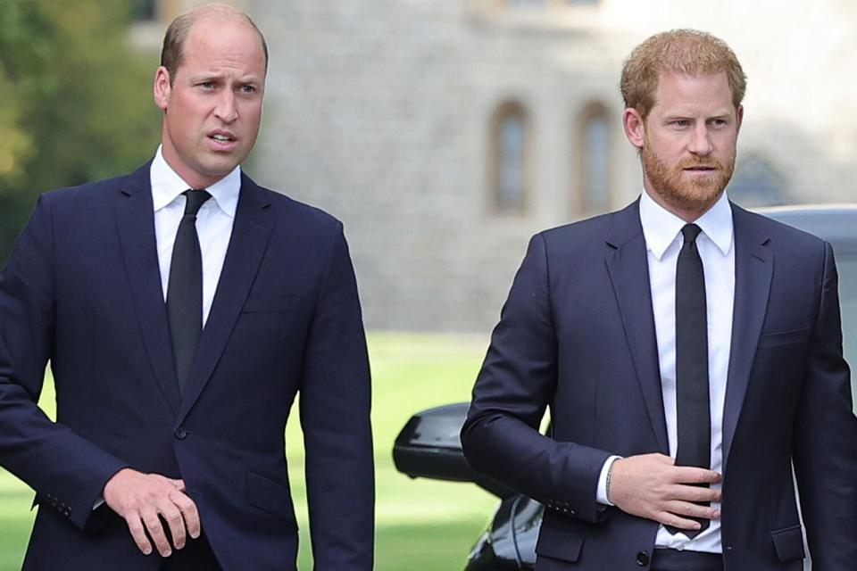 Prince William, Prince of Wales, Prince Harry, Duke of Sussex