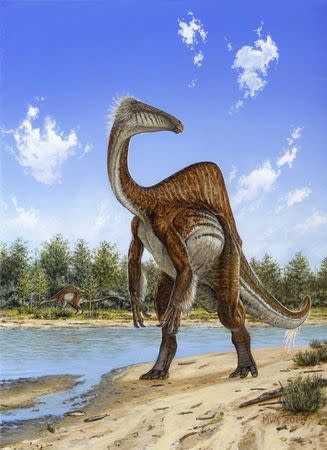 Deinocheirus mirificus, the largest known member of a group of bird-like dinosaurs, is shown in this illustration image released on October 21, 2014. REUTERS/Michael Skrepnick/Handout