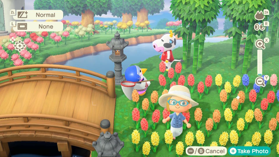 Animal Crossing: New Horizons