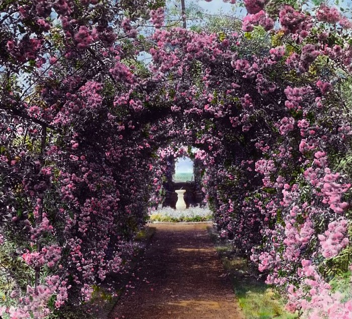 Armsea Hall's rose trellis was created in 1914.