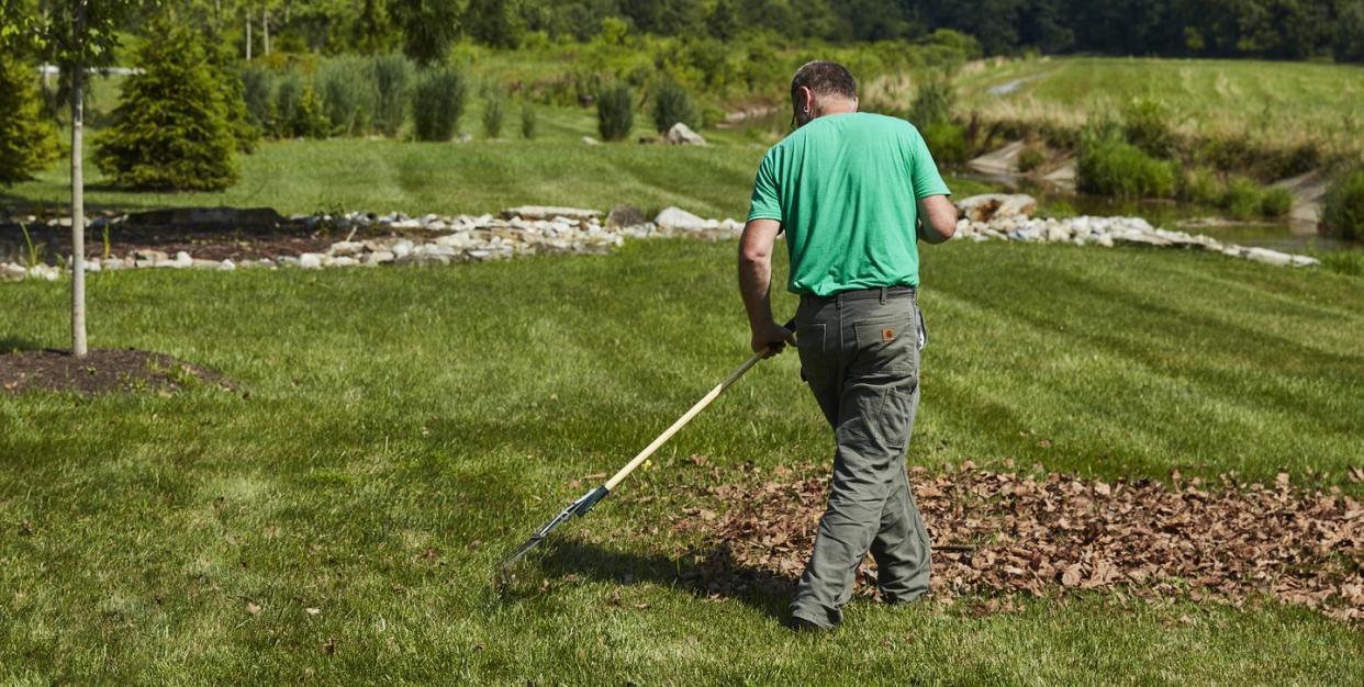 best leaf rakes