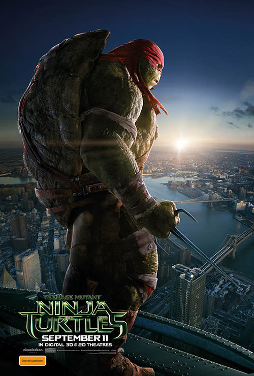 'TEENAGE MUTANT NINJA TURTLES' CHARACTER POSTERS