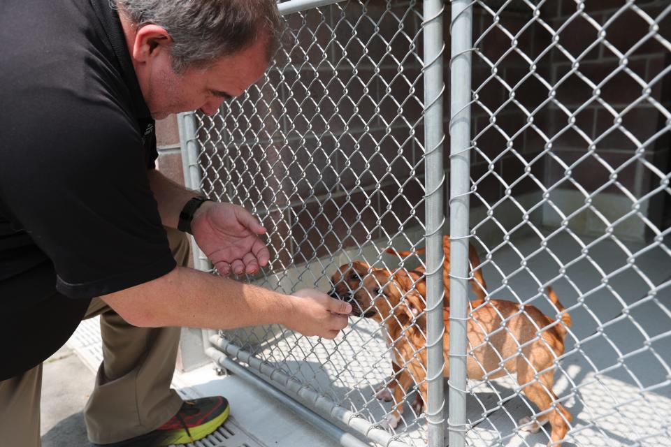 Director Charles Harper, DVM, stops to say hi to a pair of puppies available for adoption at Chatham County Animal Services.