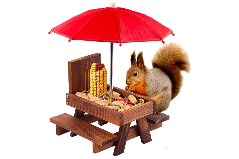 A squirrel with pointy tufts on his ears sits at a tiny picnic table with paws to his mouth.