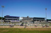 Horse Racing at Newcastle Racecourse