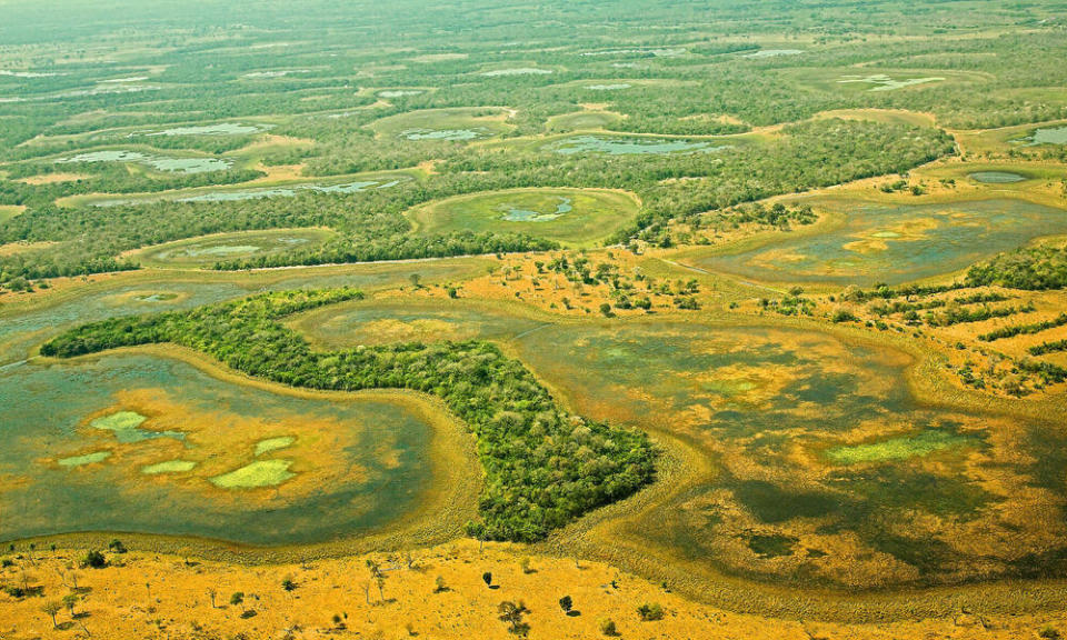 潘塔納爾地區是世界上最大的鱷魚集中地。（示意圖／Pexels）