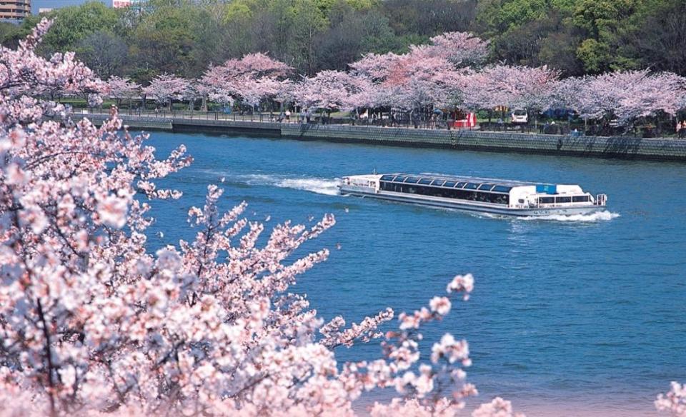 Kansai Cherry Blossom One-Day Tour | Sakura Viewing Boat by Water Bus, Cherry Blossom Tunnel at Ogawarte Tsuki, Thousand Cherry Blossoms in Osaka Castle Park, Uji Walking Tour in Kyoto | Departure from Osaka. (Photo: KKday SG)