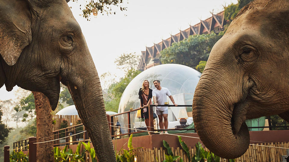 Jungle Bubble at Anantara Golden Triangle Elephant Camp & Resort