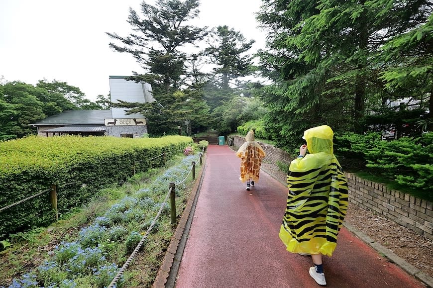 日本富士野生動物園Fuji Safari Park