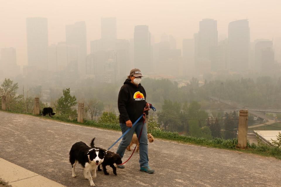 Wearing a protective mask, a dog walker ventures out as heavy smoke from northern Alberta forest fires comes south to blanket the downtown area in Calgary.