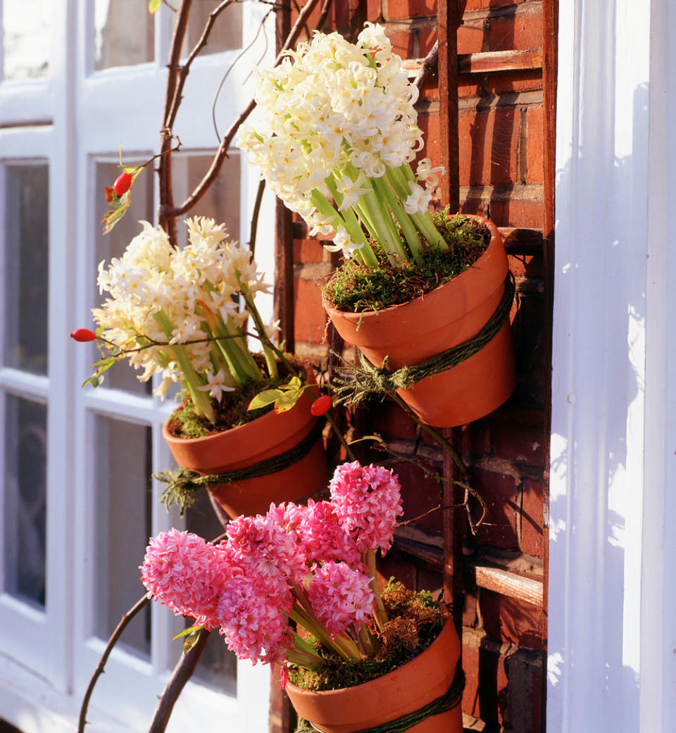 Combine terracotta pots to make a display