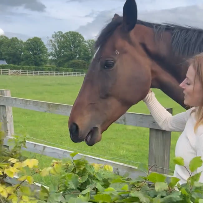 geri-horner-hector-caught-eating-hedge