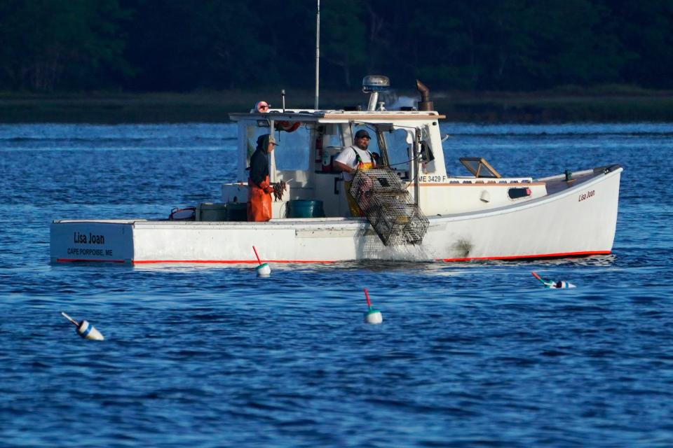 A lobster fisherman hauls a trap, Thursday, Sept. 8, 2022, off of Kennebunkport, Maine. The conservation group, Seafood Watch, has added lobster to its "red list" as a species to avoid. They say current management measures do not do enough to prevent entanglements of fishing gear with whales.