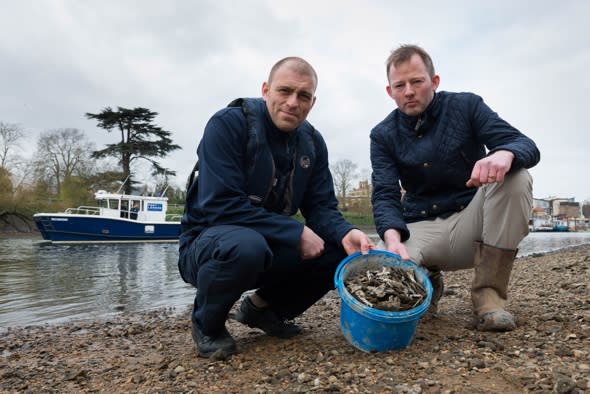 River Thames warning as 500 razor blades dumped