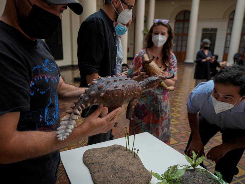 A model of the stegouros elengassen, a newly identified armored dinosaur that inhabited the Chilean Patagonia, is displayed during a press conference in Santiago, Chile, Wednesday, Dec. 1, 2021.