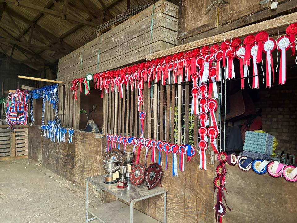 Sheep medals