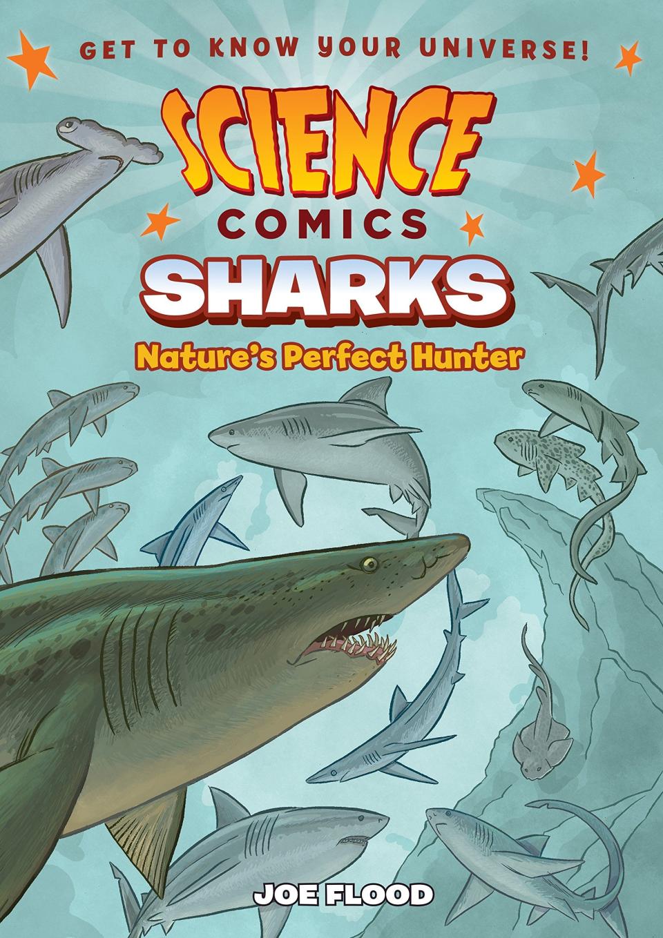 "Sharks: Nature's Perfect Hunter"