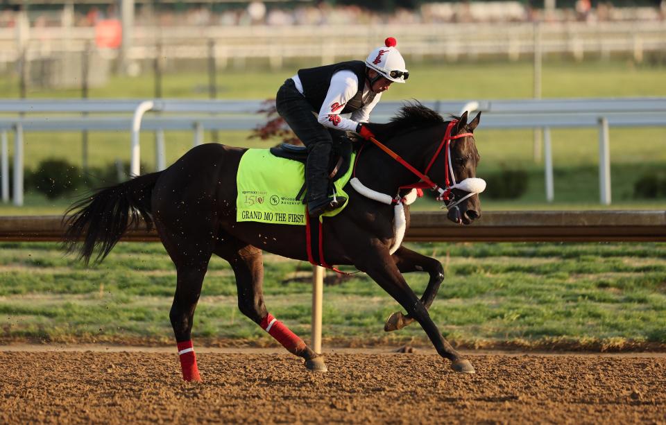 LOUISVILLE, KENTUCKY - MAY 01: Grand Mo The First runs on the track during the morning training for the Kentucky Derby at Churchill Downs on May 01, 2024 in Louisville, Kentucky. (Photo by Andy Lyons/Getty Images)