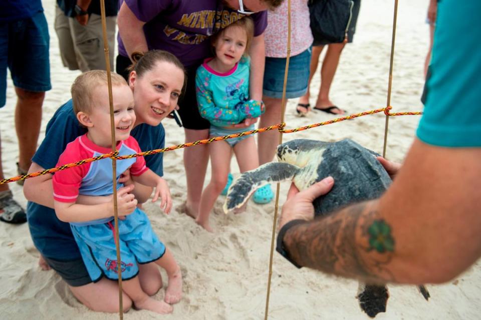 Shannon Cords and her children Axton Cords, 3, left, and Lennix Cords, 4, right, look at a Kemp’s Ridley sea turtle before its release back into the Mississippi Sound on Thursday, April 18, 2024. This year the Mississippi Aquarium rehabilitated 40 cold stunned Kemp’s Ridley sea turtles.