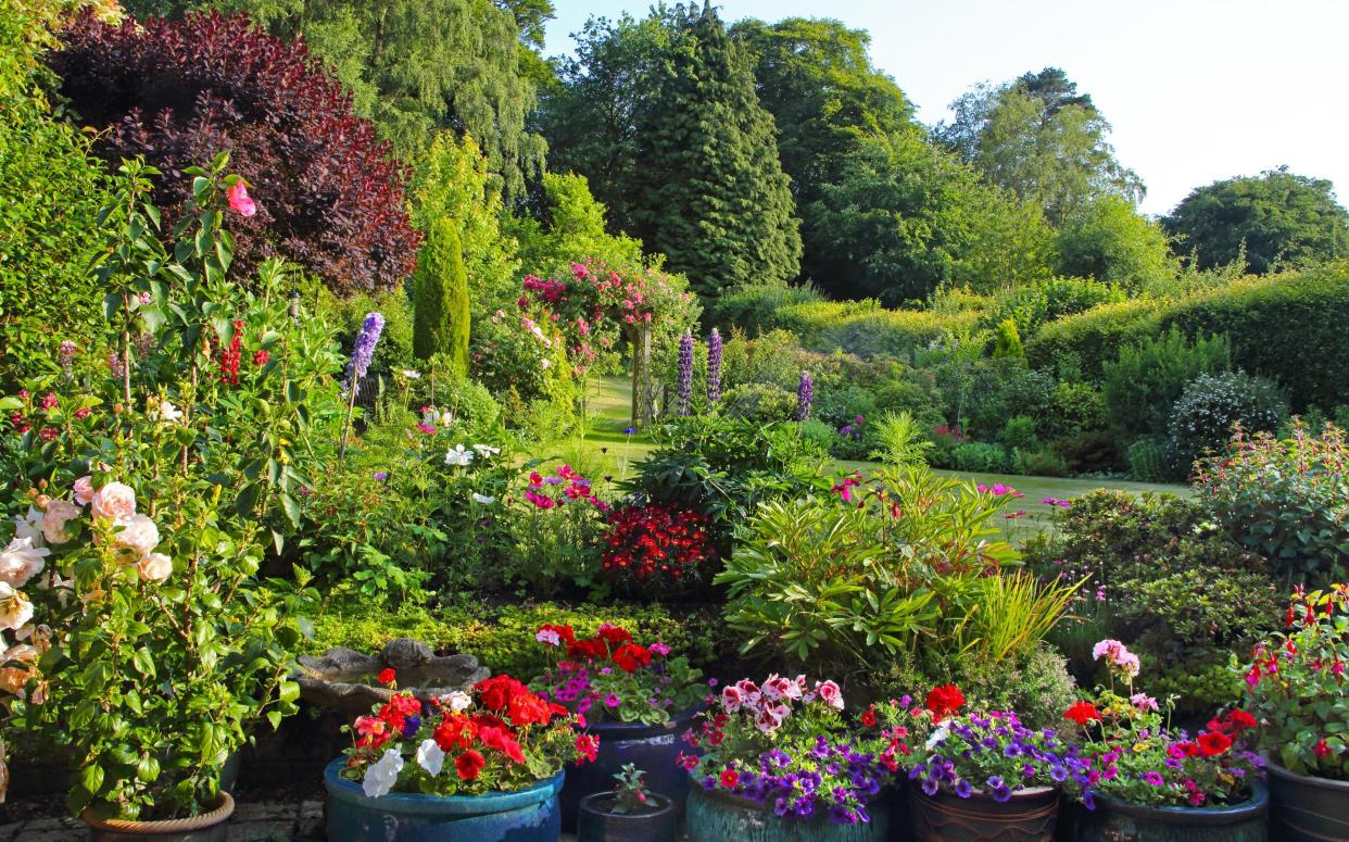 Gardening in July what to plant and tidy in your garden this month things to do 2021 - Getty Images 