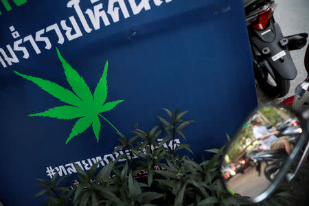 A man drives his motorbike near an election campaign poster in Bangkok, Thailand February 15, 2019. REUTERS/Soe Zeya Tun/File Photo