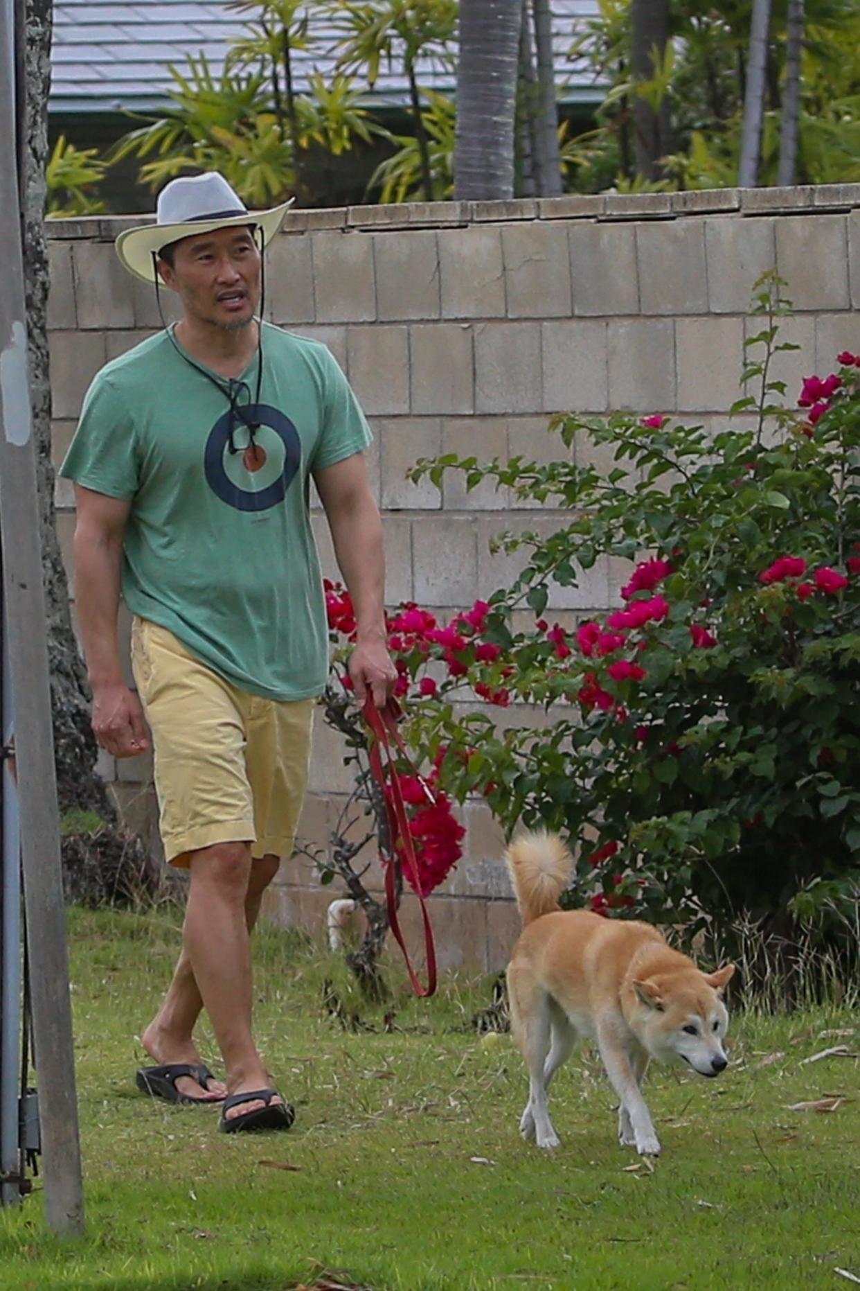 Daniel Dae Kim seen walking his dog outside on March 29 after recovering from COVID-19 and his 14 day quarantine.