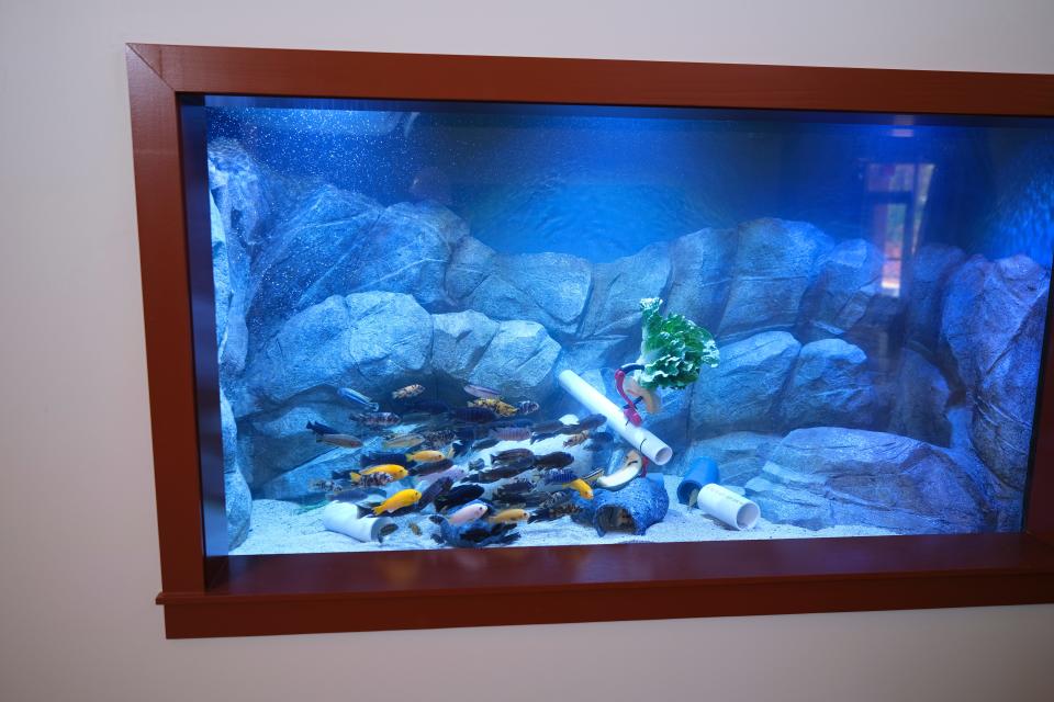 A built-in aquarium is a feature of the transformed space of the old Pachyderm Building at the Oklahoma City Zoo.