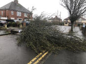 A fallen tree in the Longlevens area of Gloucester. (PA)