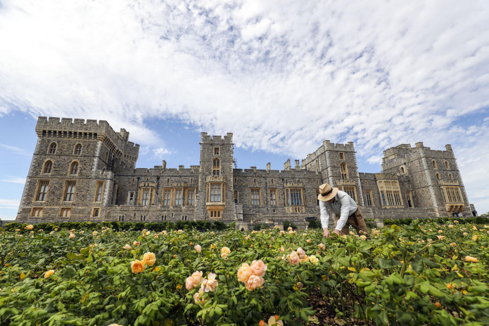 Final preparations are made ahead of Windsor Castle's East Terrace Garden opening to the public for the first time in decades from Saturday. (Photo by Steve Parsons/PA Images via Getty Images)