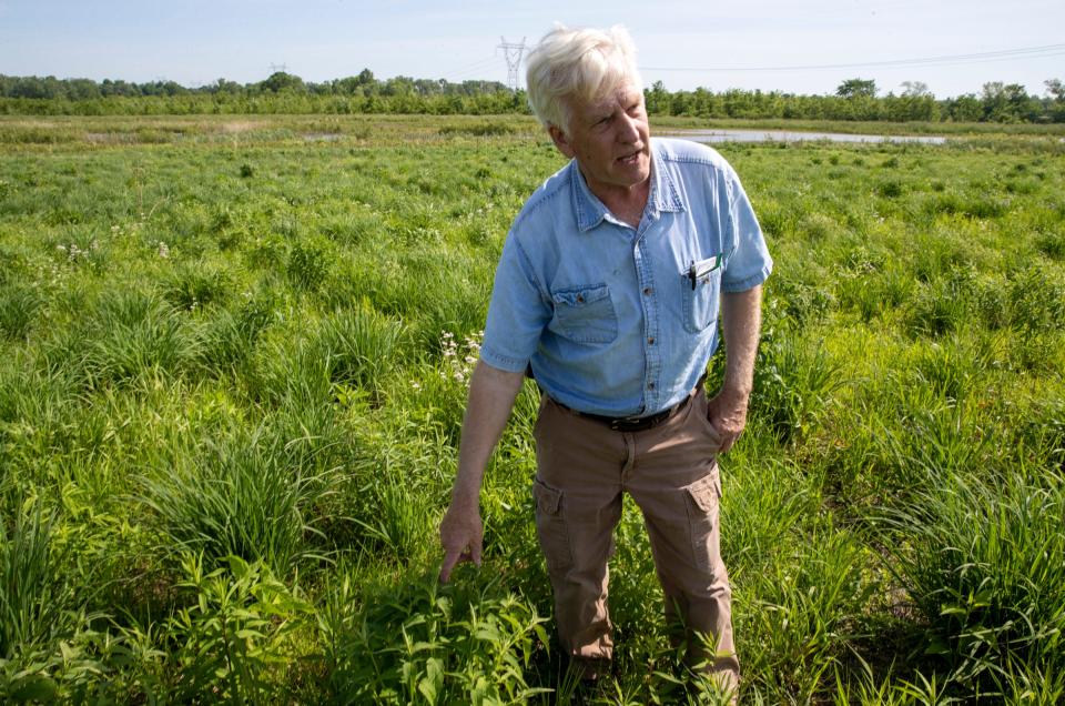 Ray McCormick shows off some native plants on wetlands he restored on his land near Vincennes, Ind. in May 2021. McCormick is both a farmer and conservationist who sees lands in his area regularly flooding with increased rainfall.
