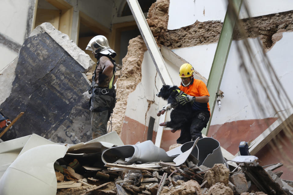 A Chilean rescuers right, holds a rescue dog as they search in the rubble of a building that was collapsed in last month's massive explosion, after getting signals there may be a survivor under the rubble, in Beirut, Lebanon, Thursday, Sept. 3, 2020. Hopes were raised after the dog of a Chilean search and rescue team touring Gemmayzeh street, one of the hardest-hit in Beirut, ran toward the collapsed building. (AP Photo/Bilal Hussein)
