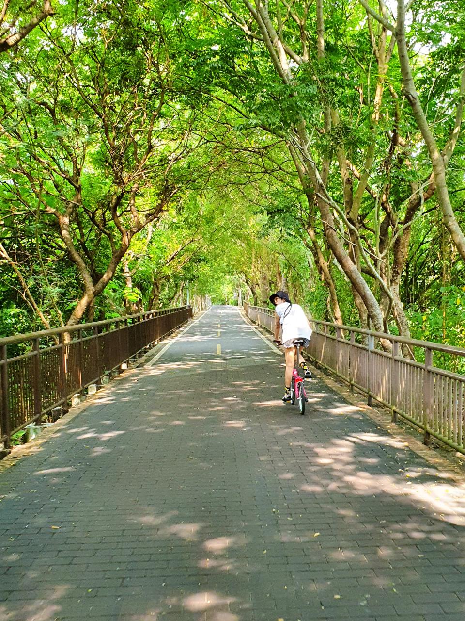 ▲史丹利與Gigi自備小摺，體驗了后豐鐵馬車道。